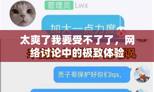 太爽了我要受不了了，網(wǎng)絡討論中的極致體驗