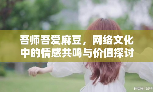 吾師吾愛麻豆，網(wǎng)絡(luò)文化中的情感共鳴與價(jià)值探討