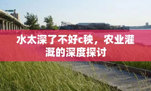 水太深了不好c秧，農(nóng)業(yè)灌溉的深度探討
