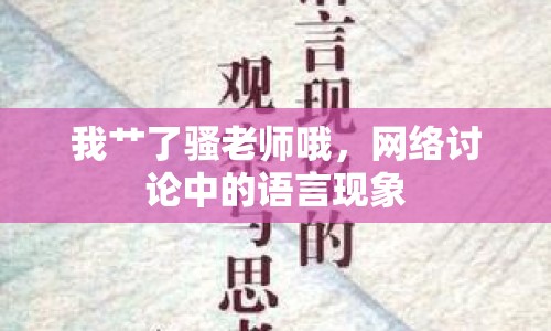 我艸了騷老師哦，網(wǎng)絡(luò)討論中的語言現(xiàn)象