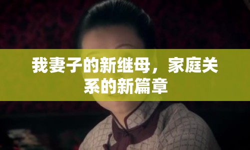 我妻子的新繼母，家庭關(guān)系的新篇章