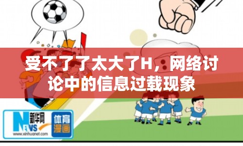 受不了了太大了H，網(wǎng)絡(luò)討論中的信息過載現(xiàn)象