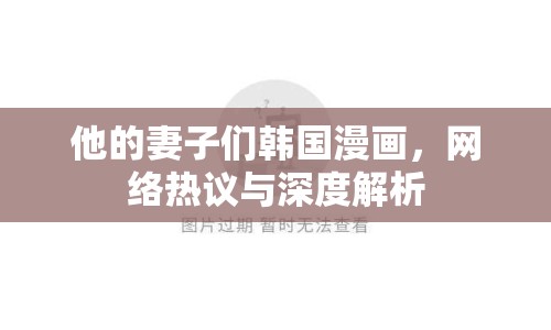 他的妻子們韓國漫畫，網(wǎng)絡(luò)熱議與深度解析