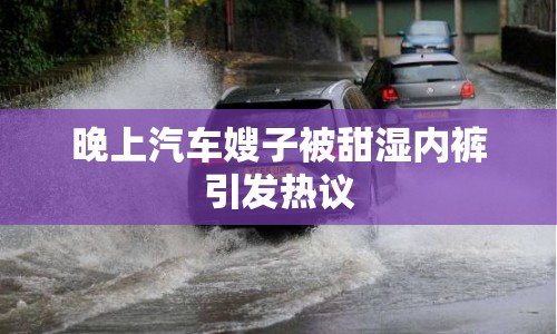 晚上汽車嫂子被甜濕內(nèi)褲引發(fā)熱議