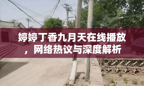 婷婷丁香九月天在線播放，網(wǎng)絡(luò)熱議與深度解析