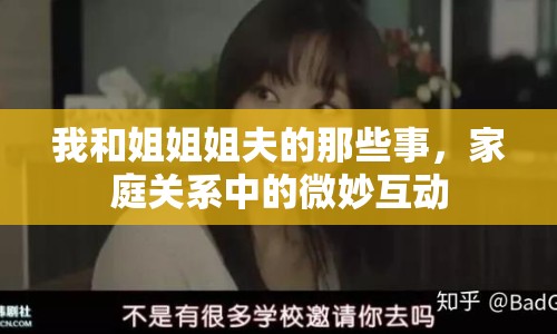 我和姐姐姐夫的那些事，家庭關(guān)系中的微妙互動(dòng)