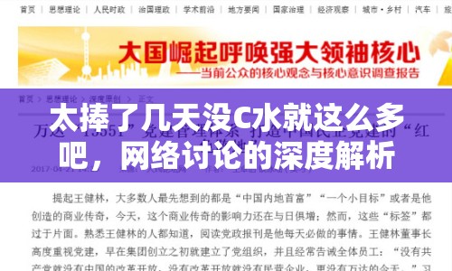 太捧了幾天沒C水就這么多吧，網(wǎng)絡(luò)討論的深度解析