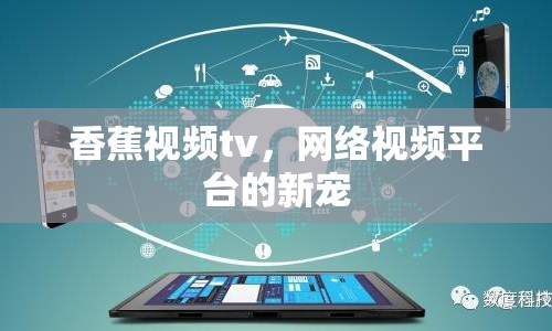 香蕉視頻tv，網(wǎng)絡視頻平臺的新寵