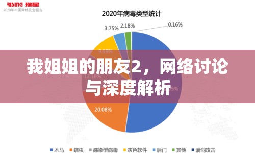 我姐姐的朋友2，網(wǎng)絡(luò)討論與深度解析