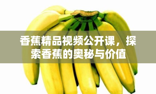 香蕉精品視頻公開課，探索香蕉的奧秘與價(jià)值