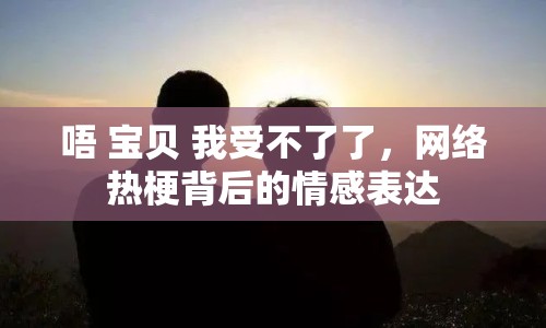 唔 寶貝 我受不了了，網(wǎng)絡(luò)熱梗背后的情感表達(dá)