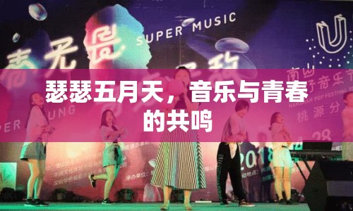 瑟瑟五月天，音樂與青春的共鳴