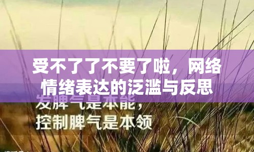 受不了了不要了啦，網(wǎng)絡(luò)情緒表達的泛濫與反思