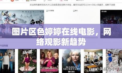 圖片區(qū)色婷婷在線電影，網(wǎng)絡(luò)觀影新趨勢