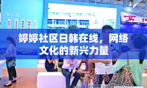 婷婷社區(qū)日韓在線，網(wǎng)絡(luò)文化的新興力量