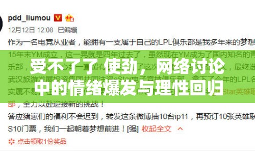 受不了了 使勁，網(wǎng)絡(luò)討論中的情緒爆發(fā)與理性回歸