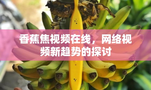 香蕉焦視頻在線，網(wǎng)絡(luò)視頻新趨勢的探討