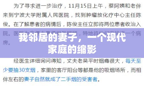 我鄰居的妻子，一個(gè)現(xiàn)代家庭的縮影