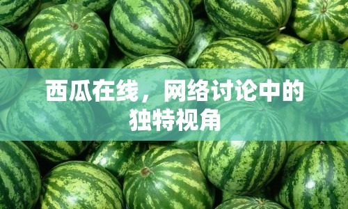 西瓜在線，網(wǎng)絡(luò)討論中的獨(dú)特視角