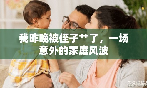 我昨晚被侄子艸了，一場(chǎng)意外的家庭風(fēng)波