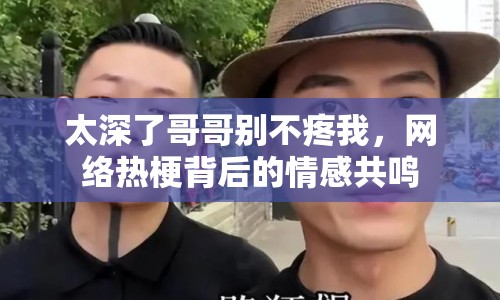 太深了哥哥別不疼我，網(wǎng)絡(luò)熱梗背后的情感共鳴