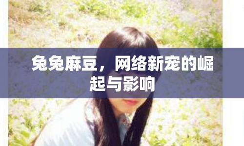 兔兔麻豆，網(wǎng)絡(luò)新寵的崛起與影響