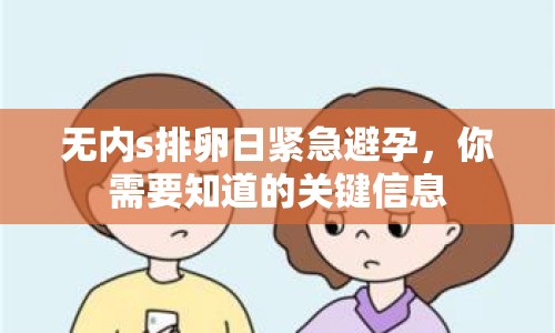 無內(nèi)s排卵日緊急避孕，你需要知道的關(guān)鍵信息