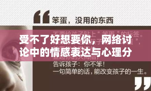 受不了好想要你，網(wǎng)絡(luò)討論中的情感表達(dá)與心理分析