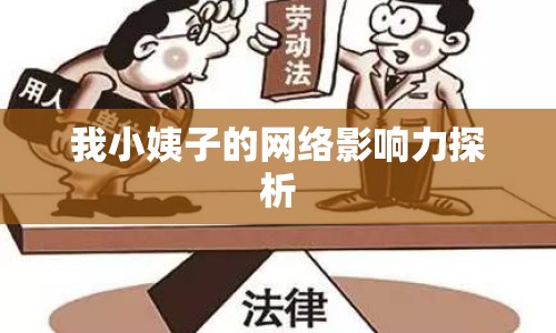 我小姨子的網(wǎng)絡(luò)影響力探析