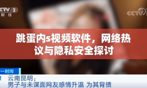 跳蛋內(nèi)s視頻軟件，網(wǎng)絡(luò)熱議與隱私安全探討