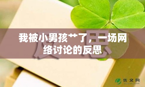 我被小男孩艸了，一場網(wǎng)絡(luò)討論的反思