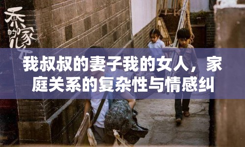 我叔叔的妻子我的女人，家庭關(guān)系的復(fù)雜性與情感糾葛
