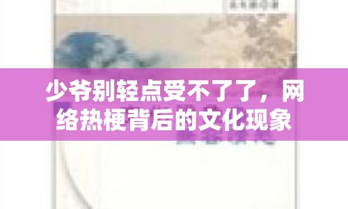 少爺別輕點受不了了，網(wǎng)絡(luò)熱梗背后的文化現(xiàn)象