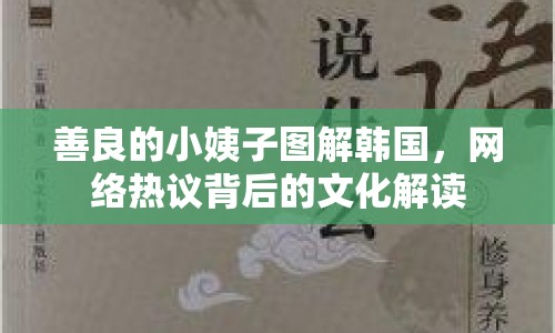 善良的小姨子圖解韓國(guó)，網(wǎng)絡(luò)熱議背后的文化解讀