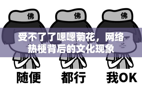 受不了了嗯嗯菊花，網(wǎng)絡(luò)熱梗背后的文化現(xiàn)象