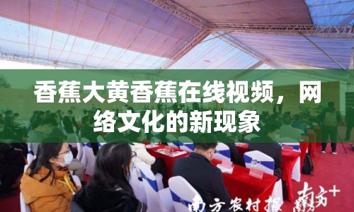 香蕉大黃香蕉在線(xiàn)視頻，網(wǎng)絡(luò)文化的新現(xiàn)象