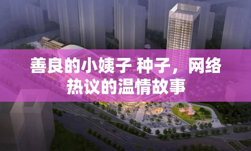 善良的小姨子 種子，網(wǎng)絡(luò)熱議的溫情故事