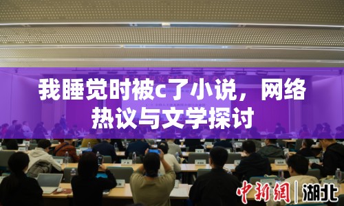 我睡覺時被c了小說，網(wǎng)絡(luò)熱議與文學(xué)探討