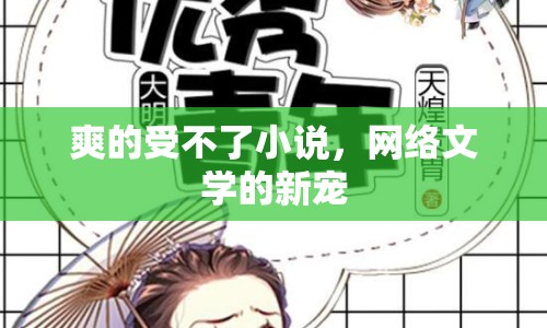 爽的受不了小說，網(wǎng)絡(luò)文學(xué)的新寵