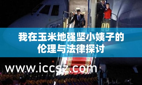 我在玉米地強(qiáng)堅(jiān)小姨子的倫理與法律探討