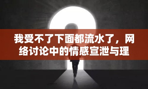 我受不了下面都流水了，網(wǎng)絡(luò)討論中的情感宣泄與理性思考