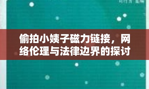 偷拍小姨子磁力鏈接，網(wǎng)絡(luò)倫理與法律邊界的探討