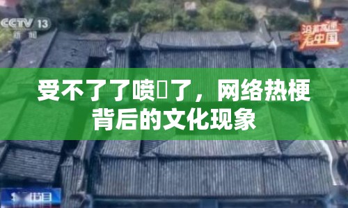 受不了了噴氺了，網(wǎng)絡熱梗背后的文化現(xiàn)象