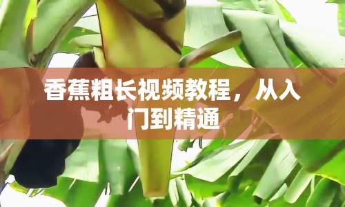 香蕉粗長視頻教程，從入門到精通