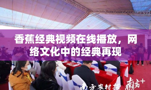 香蕉經(jīng)典視頻在線播放，網(wǎng)絡(luò)文化中的經(jīng)典再現(xiàn)