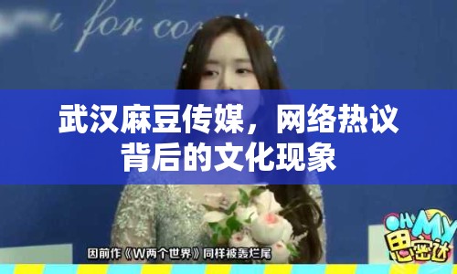 武漢麻豆傳媒，網(wǎng)絡(luò)熱議背后的文化現(xiàn)象