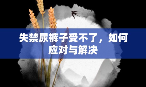 失禁尿褲子受不了，如何應(yīng)對與解決