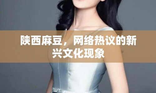 陜西麻豆，網(wǎng)絡(luò)熱議的新興文化現(xiàn)象