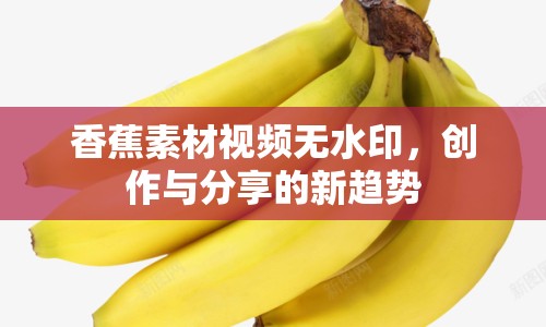香蕉素材視頻無水印，創(chuàng)作與分享的新趨勢
