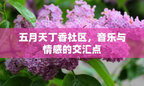 五月天丁香社區(qū)，音樂(lè)與情感的交匯點(diǎn)